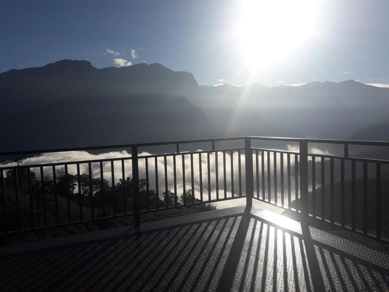 Alishan Shanyunhua B&B Homestay Meishan 외부 사진